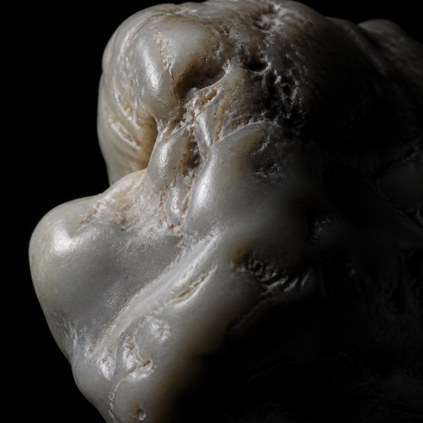 Ambergris
